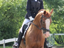 IMG_1138_web